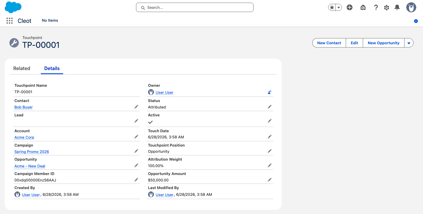 A Touchpoint record detail page showing its fields